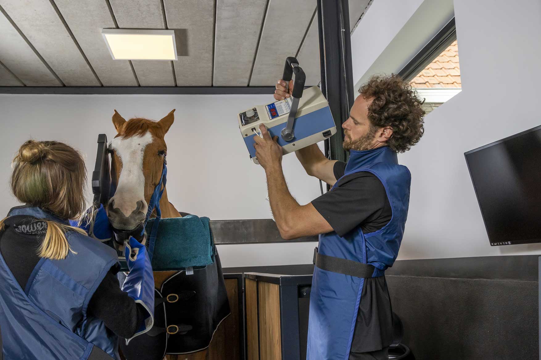 Vetrident_foto_gebit Foto gebit paard