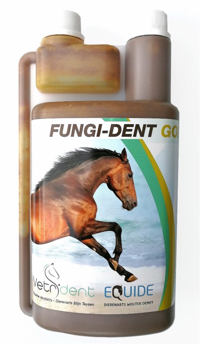 Fungident