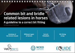 Booklet Bit-related lesions + bitfitting